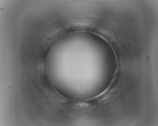 X0000076381061200610202034