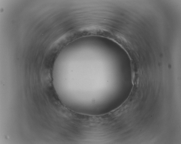 X0000076381062200610202034