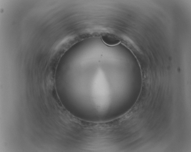 X0000076381063200610202034