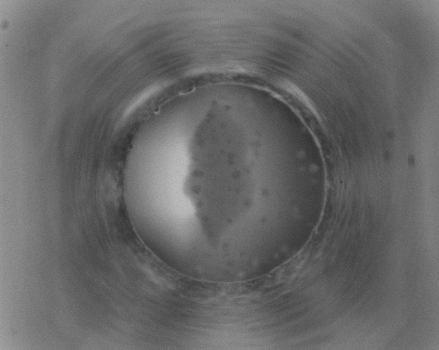 X0000076381064200610202034