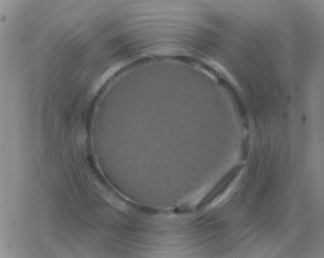 X0000076381065200610202034