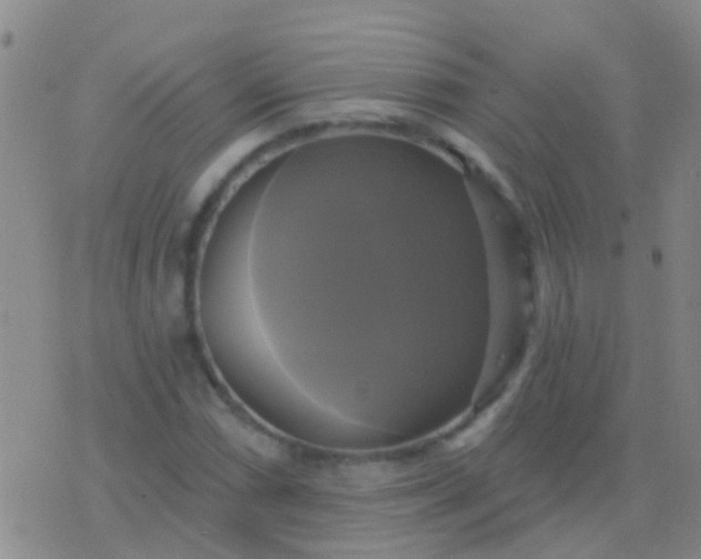 X0000076381066200610202033