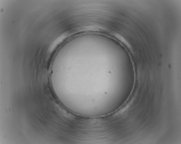 X0000076381067200610202033