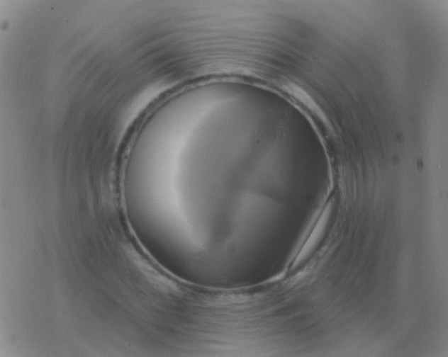 X0000076381068200610202033