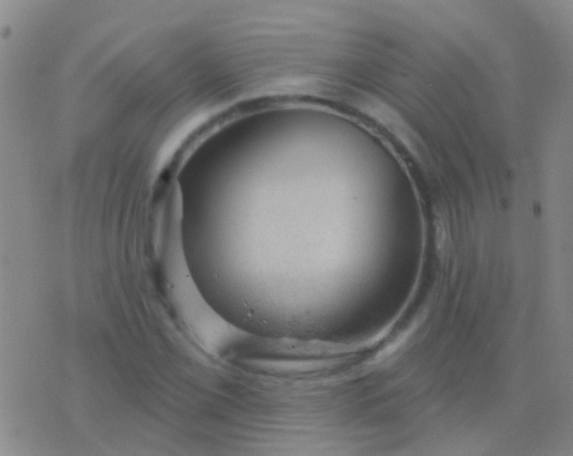 X0000076381069200610202033