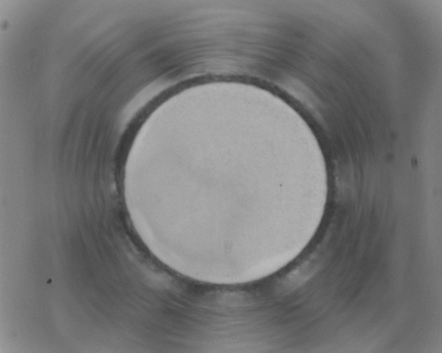 X0000076381070200610202033