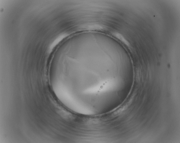 X0000076381071200610202033