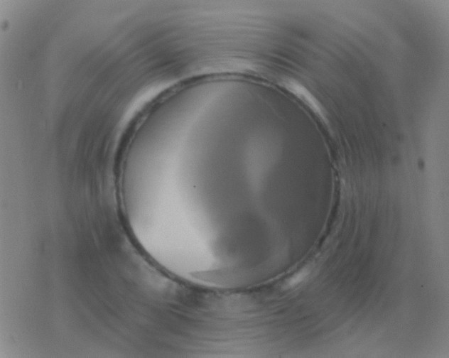 X0000076381072200610202033