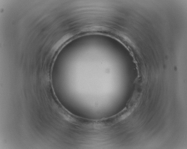 X0000076381073200610202033