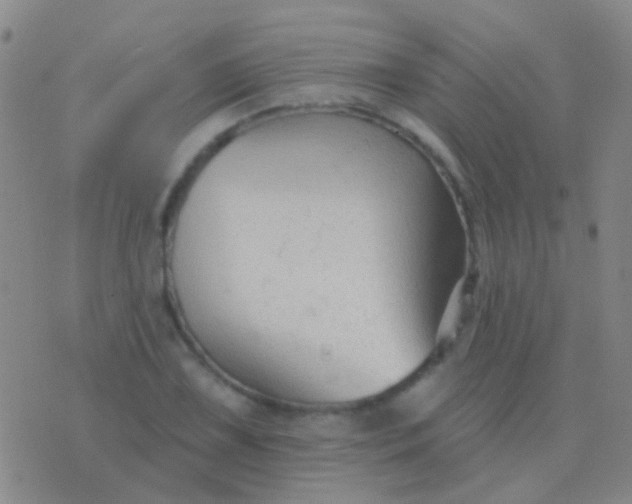 X0000076381075200610202033