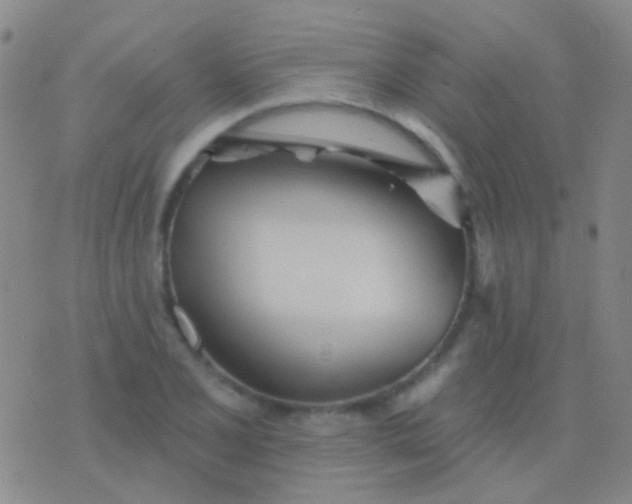 X0000076381077200610202033