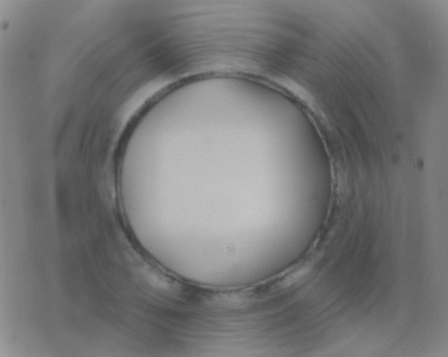 X0000076381078200610202033