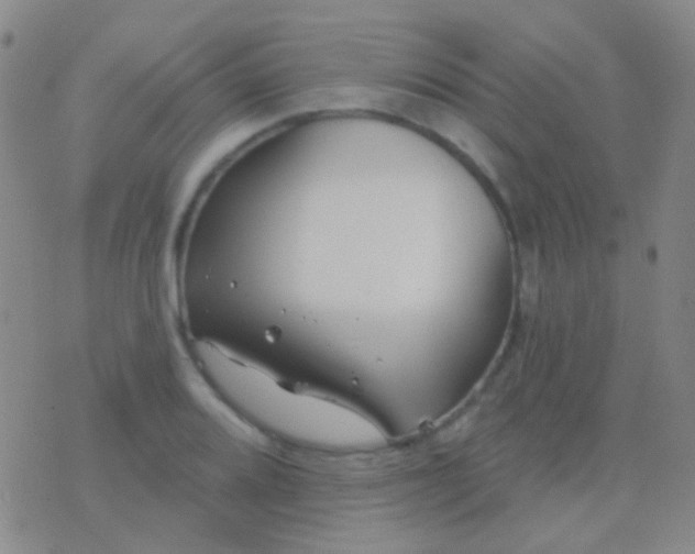 X0000076381080200610202033