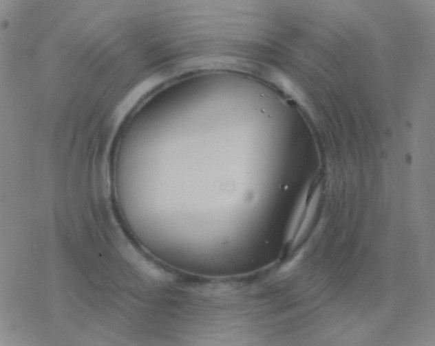 X0000076381082200610202033