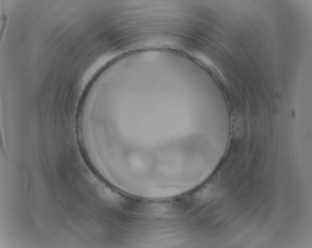 X0000076381086200610202033