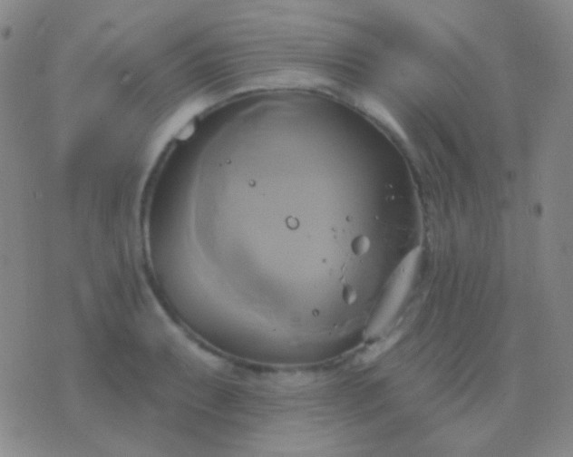 X0000076381087200610202033