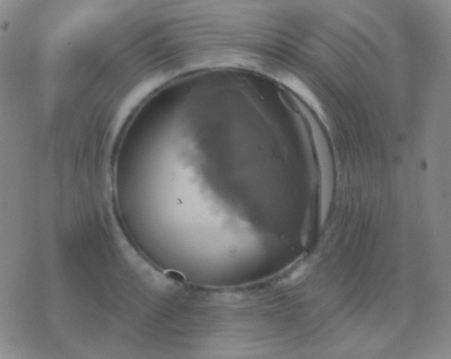 X0000076381088200610202033