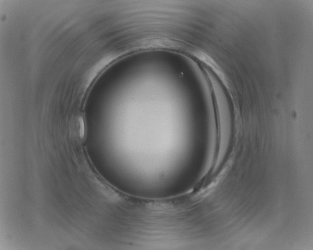 X0000076381089200610202033