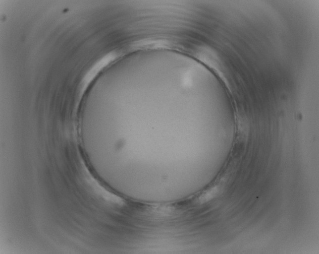 X0000076381090200610202033