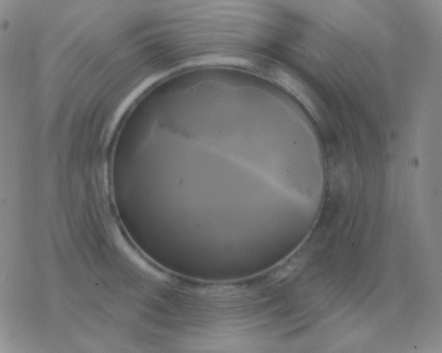 X0000076381092200610202033