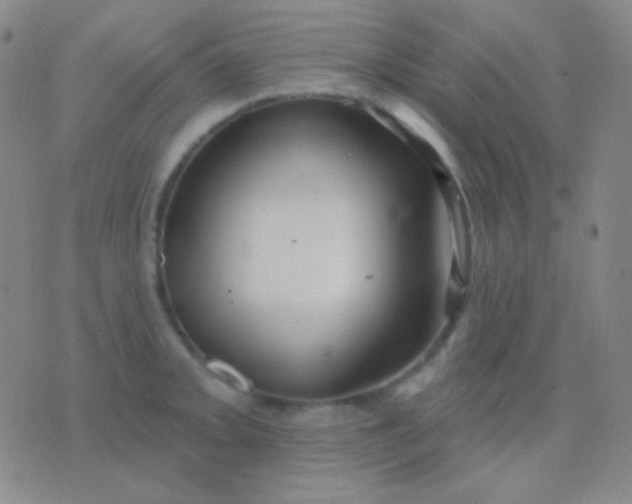 X0000076381093200610202033