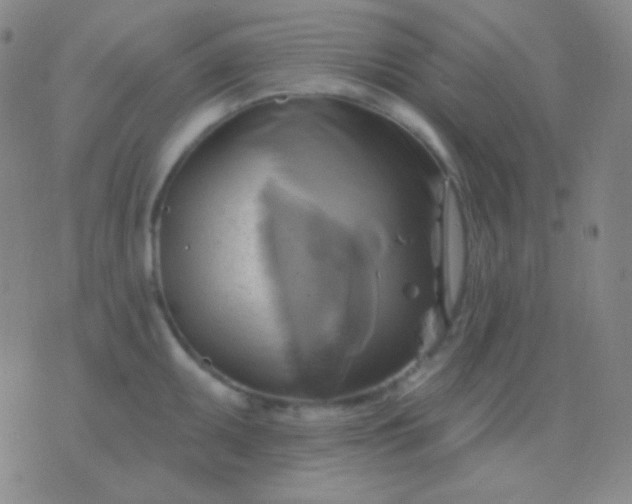 X0000076381095200610202033