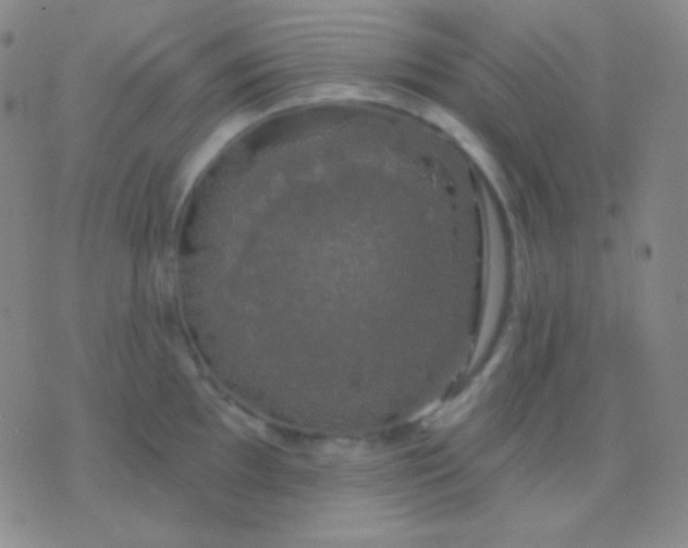 X0000076381097200610202033