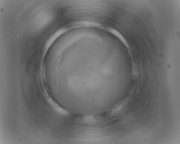 X0000076381098200610202033