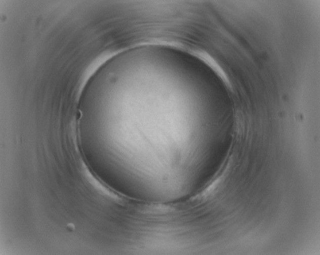 X0000076381100200610202033