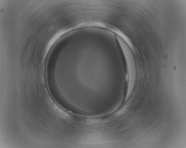 X0000076381102200610202033