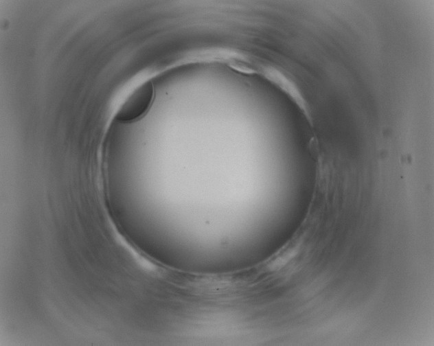 X0000076381103200610202033