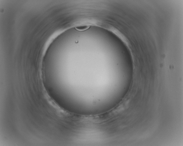 X0000076381104200610202033