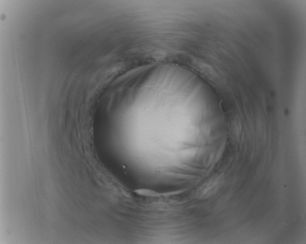 X0000076381105200610202032