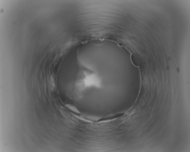 X0000076381106200610202032