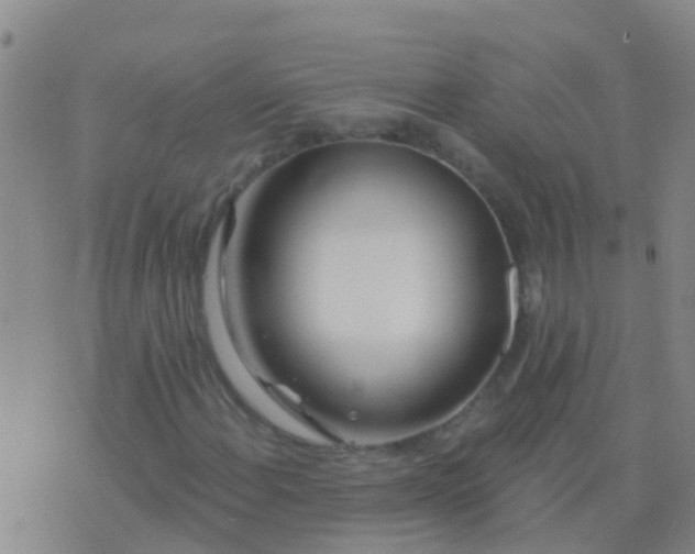 X0000076381108200610202032