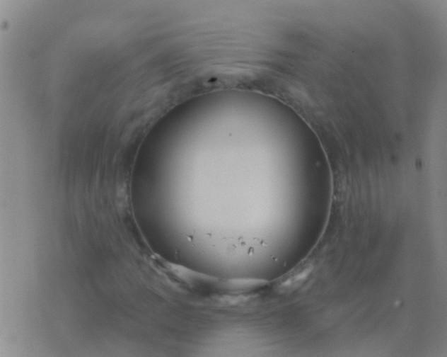 X0000076381109200610202032