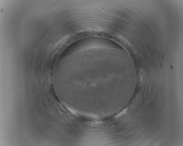 X0000076381110200610202032