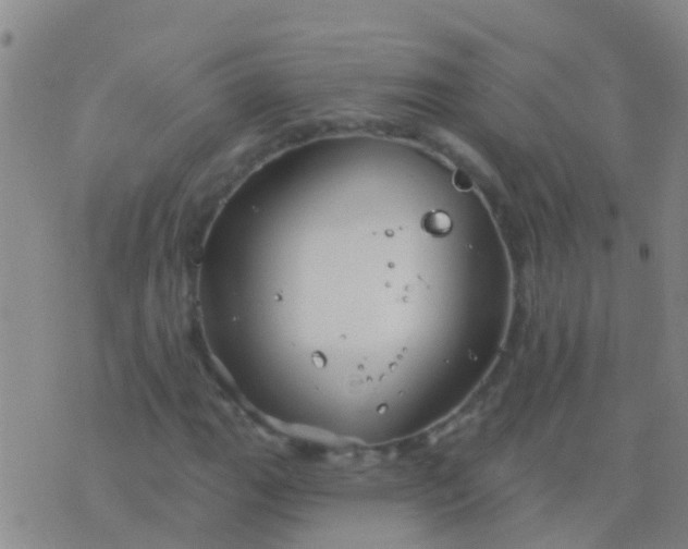 X0000076381111200610202032