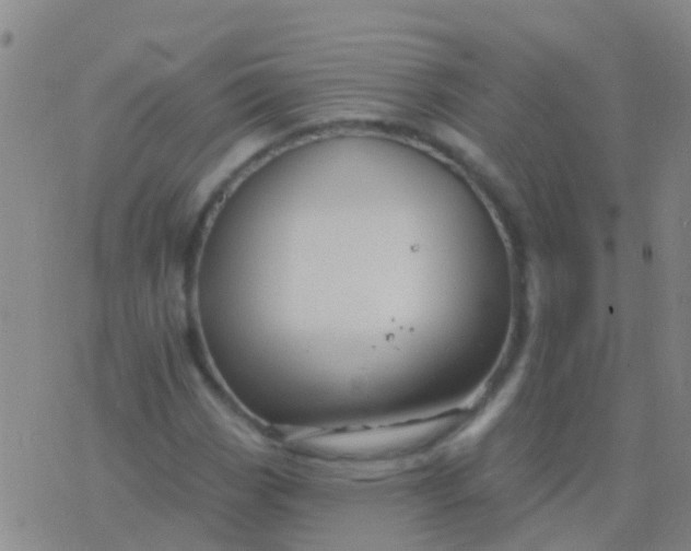 X0000076381113200610202032