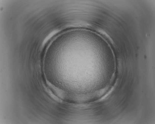 X0000076381114200610202032