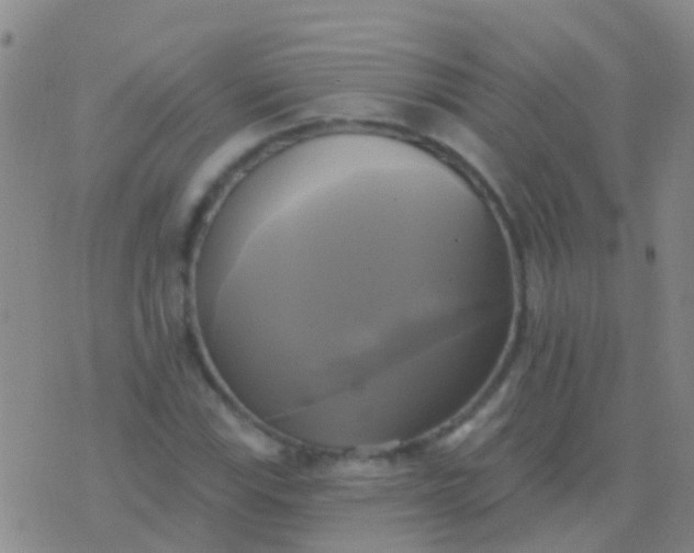 X0000076381115200610202032