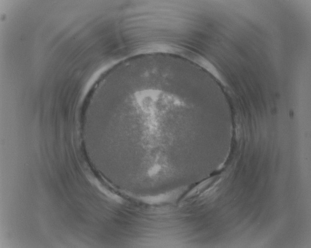 X0000076381116200610202032