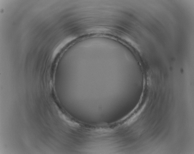 X0000076381117200610202032