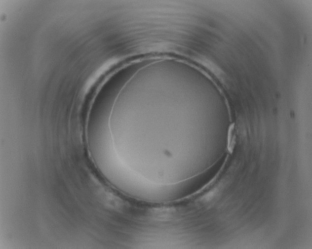 X0000076381118200610202032