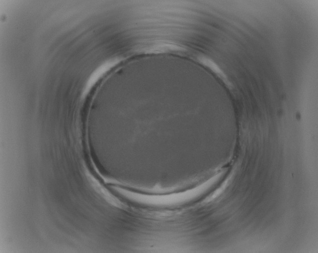 X0000076381122200610202032