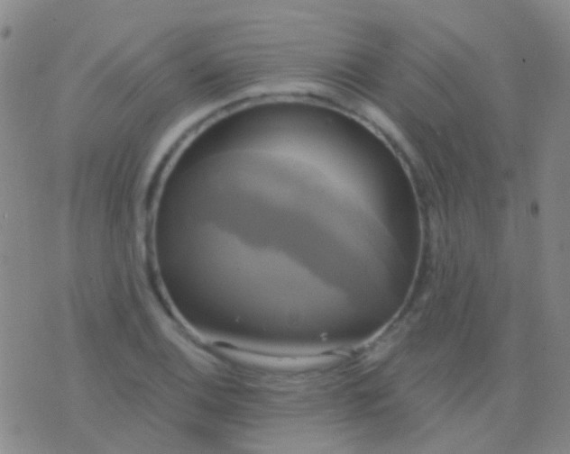 X0000076381124200610202032