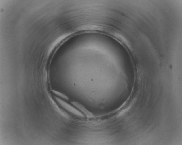 X0000076381125200610202032