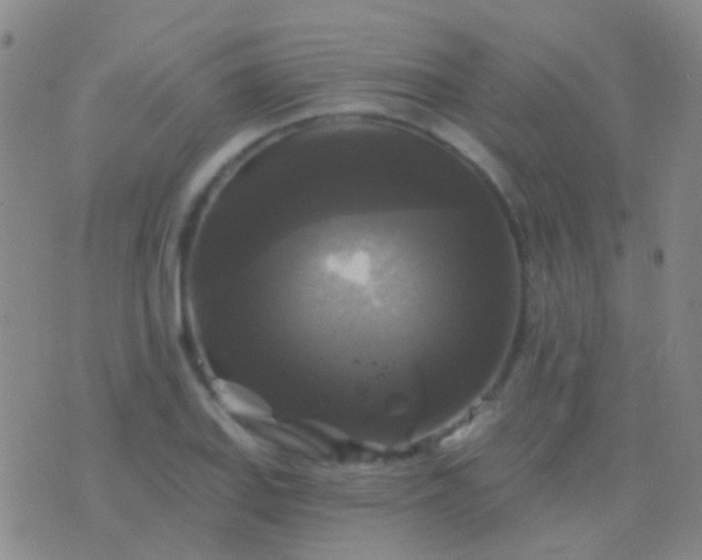 X0000076381127200610202032