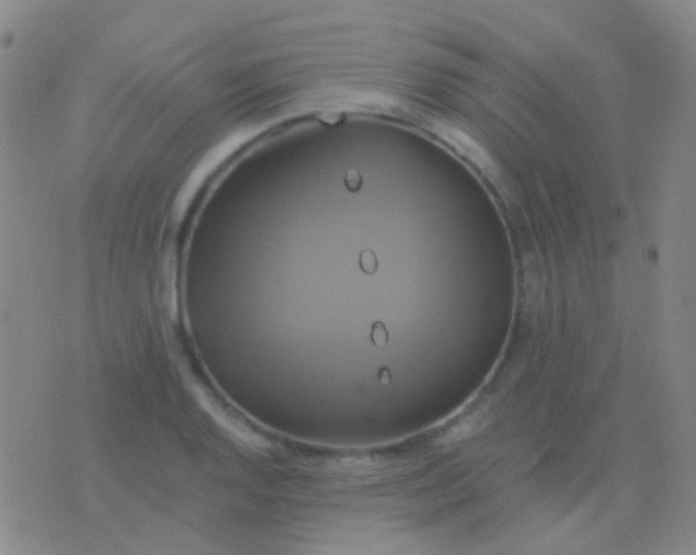 X0000076381128200610202032