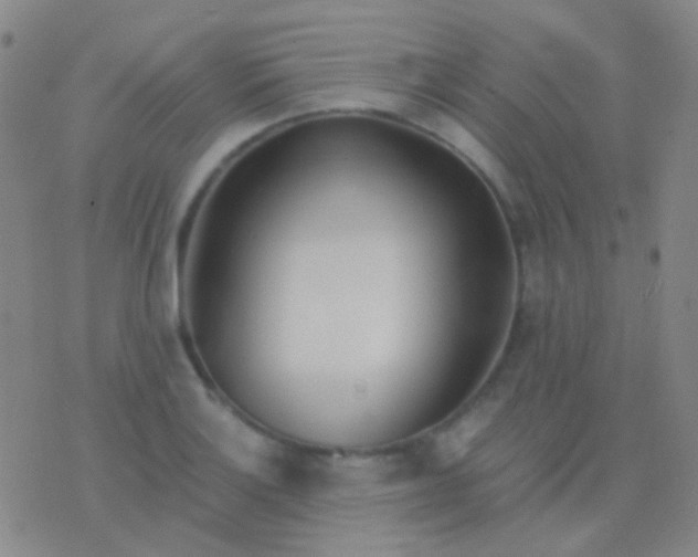 X0000076381132200610202033